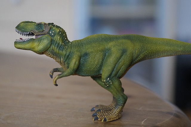 Name Its Dinosaur Bluse: Den perfekte gave til dit barns fødselsdag